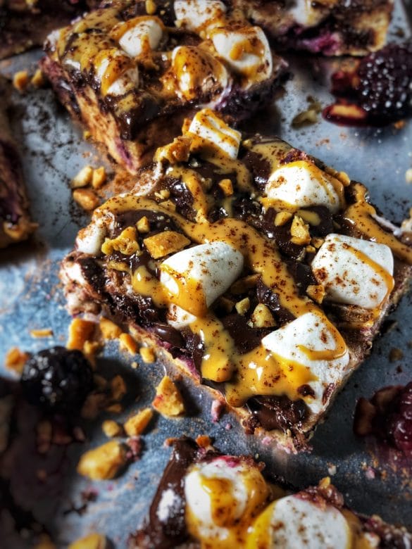 dark chocolate blackberry s'mores protein bars