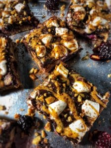 dark chocolate blackberry s'mores protein bars