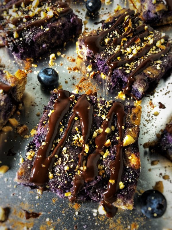 dark chocolate blueberry hazelnut protein bars