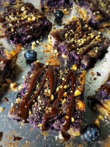 dark chocolate blueberry hazelnut protein bars