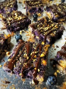 dark chocolate blueberry hazelnut protein bars