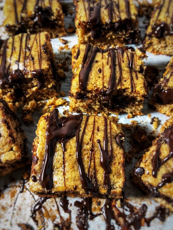 Dark Chocolate Maple Almond Butter Protein Blondies