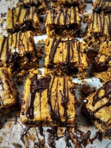 Dark Chocolate Maple Almond Butter Protein Blondies