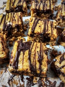 Dark Chocolate Maple Almond Butter Protein Blondies