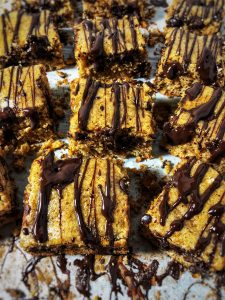 Dark Chocolate Maple Almond Butter Protein Blondies